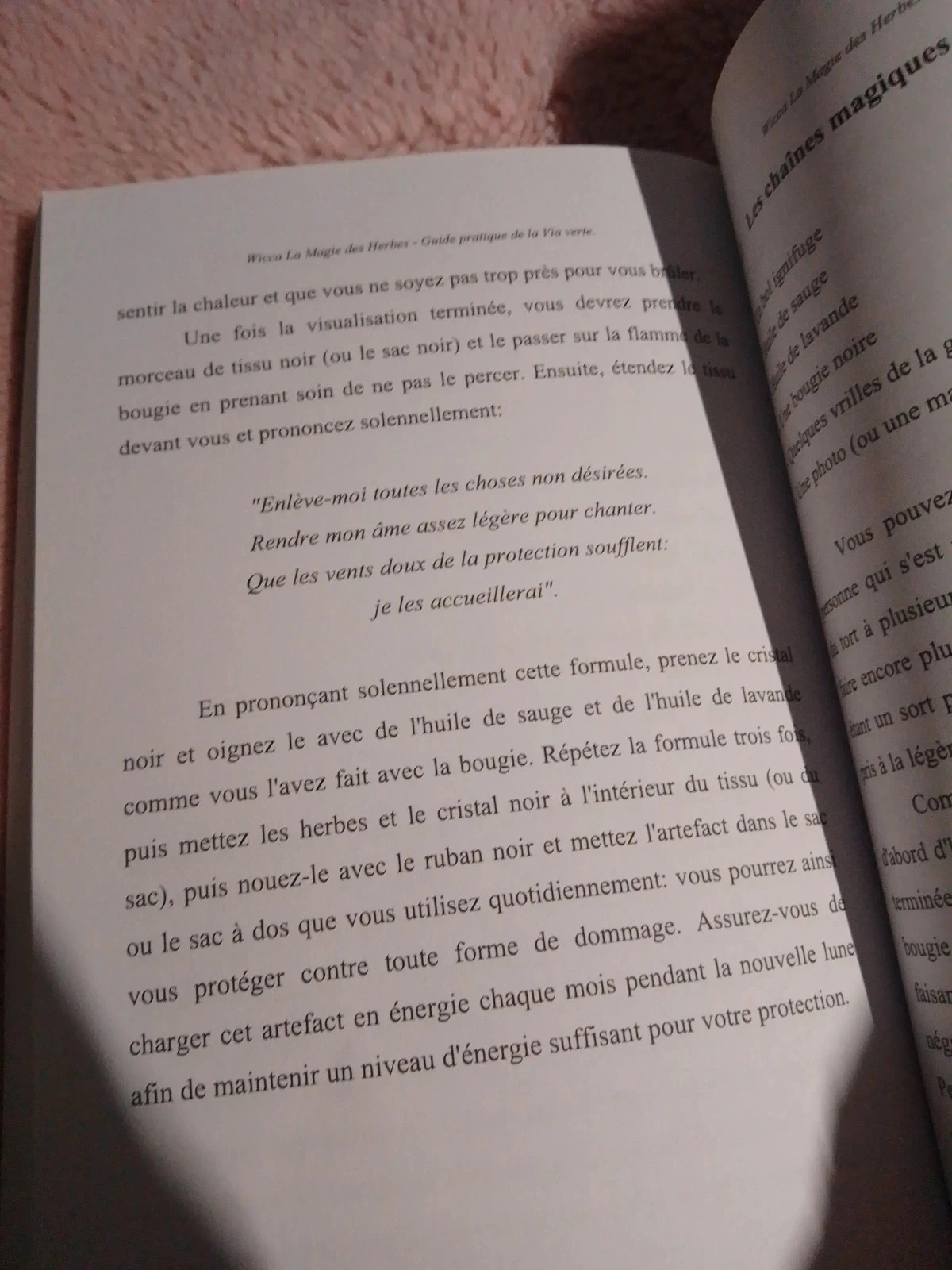 Wicca a magia das ervas volume 2 – photo 13